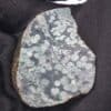 Variolite, lit de la Durance, Alpes du Sud.