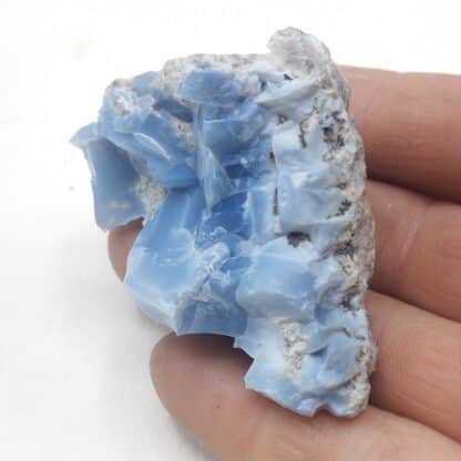 Opale bleue CT, Opal Butte, Oregon, USA (États-Unis).