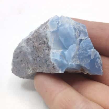 Opale bleue, Opal Butte, Oregon, États-Unis (USA).
