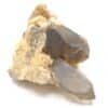 Quartz morion, Col de la Charousse, Haute-Loire.