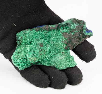 Azurite et malachite, Bisbee, Arizona, USA.