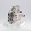 Quartz var. Améthyste, Guerrero, Mexique.