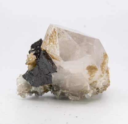 Quartz et Wolframite, Panasqueira, Portugal.