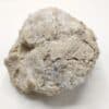 Calcite dans Polypier fossile, Carrière Solvay, Tavaux, Jura.