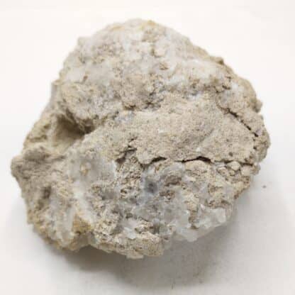 Calcite dans Polypier fossile, Carrière Solvay, Tavaux, Jura.