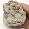 Calcite dans Polypier fossile, Carrière Solvay, Tavaux, Jura.