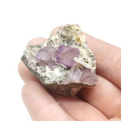 Fluorite & Barytine, Bergheim, Haut-Rhin.