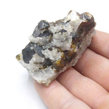 Blende (Sphalérite) & Quartz, Steinbach, Haut-Rhin.