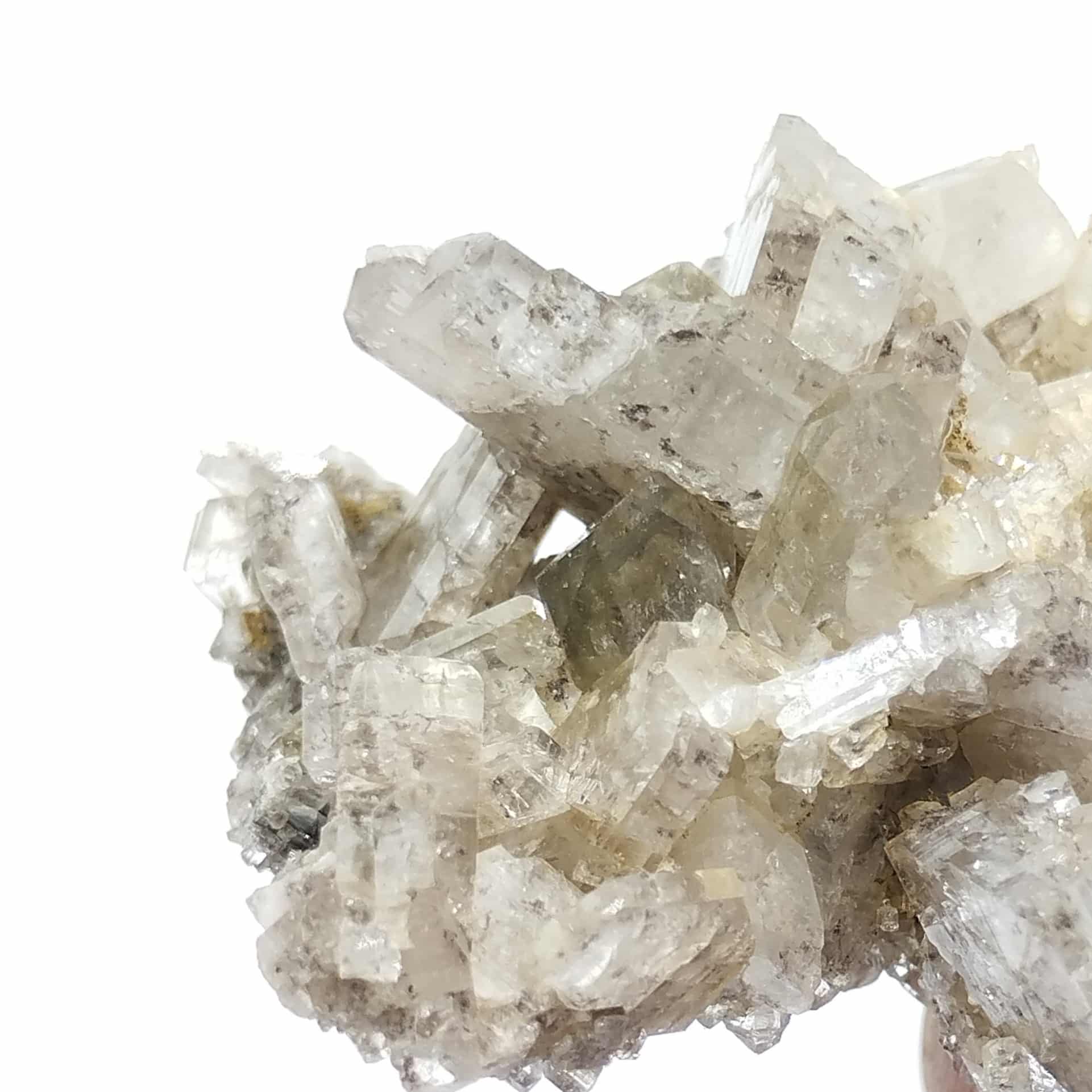 Albite & Quartz, Massif de la Lauzière, Savoie.