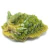 Pyromorphite, Mine des Farges, Ussel, Corrèze, Limousin.