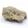 Quartz prase, La Chambre, Maurienne, Savoie.