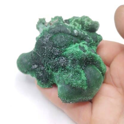 Malachite, Mashamba, Katanga, Congo (RDC).