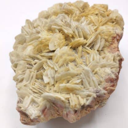 Baryte (Barytine), Le Barrot, Voltennes, Saône-et-Loire, Morvan.