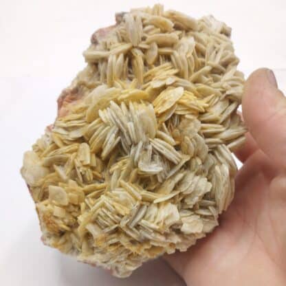 Baryte (Barytine), Le Barrot, Voltennes, Saône-et-Loire, Morvan.