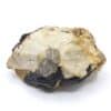 Tourmaline (Schorl), Saint-Mary-le-Plain, Cantal.