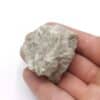Diopside dans Cipolin, Saint-Philippe, Sainte-Marie-aux-Mines, Haut-Rhin.