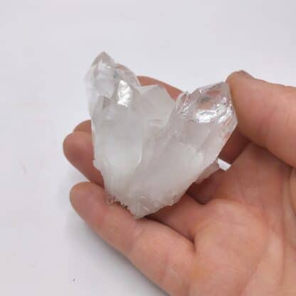 Cristal de Roche (Quartz), Saint-Sorlin-d’Arves, Savoie.