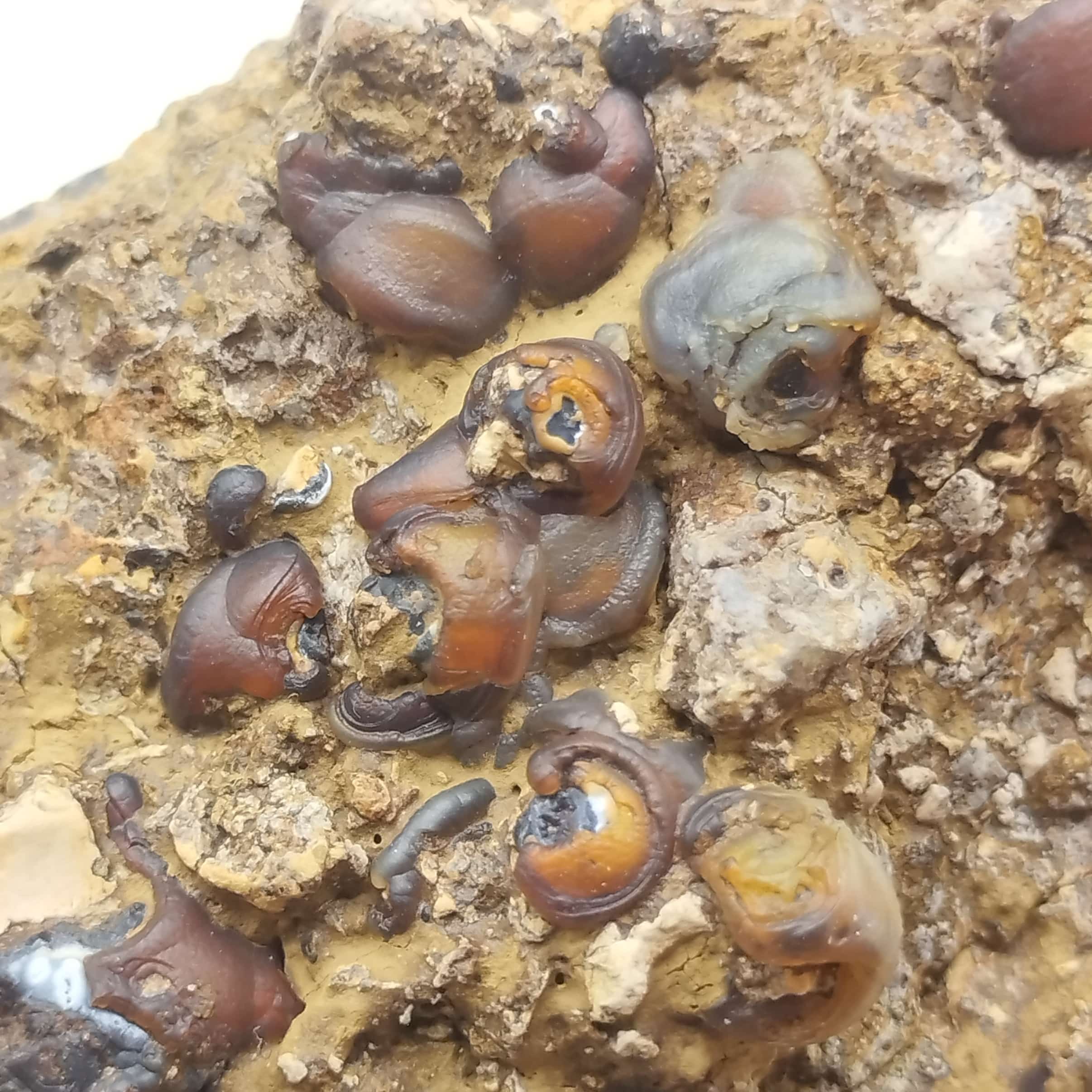 Lussatite (Opale), Puy de la Bourrière, Puy-de-Dôme, Auvergne.