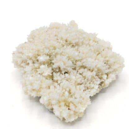 Aragonite, Tarasp (Scuol), Grisons, Suisse.