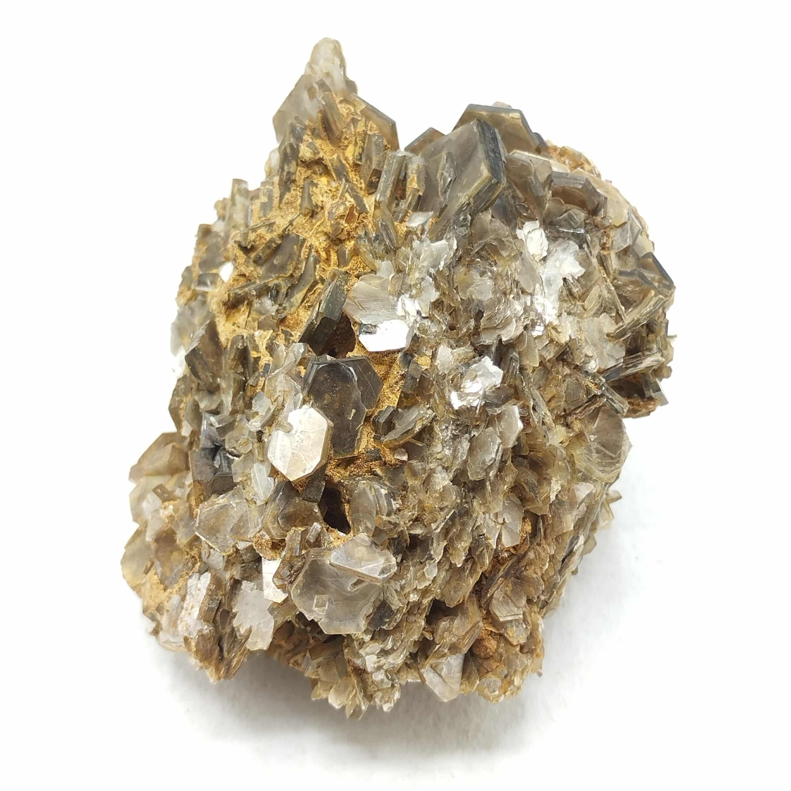 Muscovite, Yate Brooks farm, Cleveland, Caroline du Nord, USA (États-Unis).