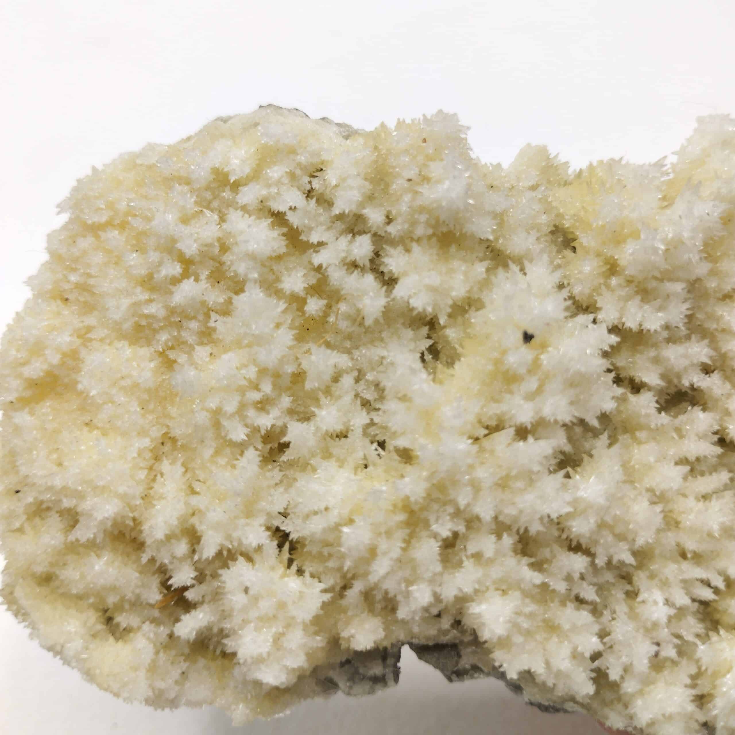 Aragonite, Karlovy Vary (Karlsbad), République Tchèque.