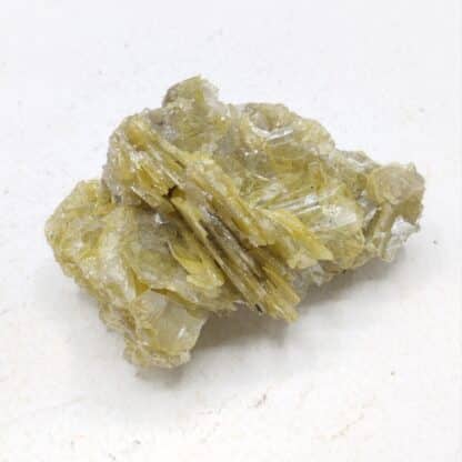 Wulfénite, Glove Mine, Arizona, USA (États-Unis).