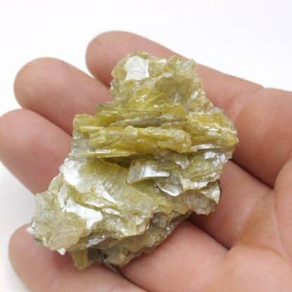 Wulfénite, Glove Mine, Arizona, USA (États-Unis).