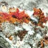 Réalgar, Sartorite & Pyrite, Lengenbach, Binntal, Valais, Suisse.