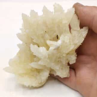 Calcite, Suisse.