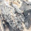 Wolframite, Puy-les-Vignes, Haute-Vienne, Limousin.