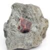 Grenat, Ravin de Sarvengude, Collobrières, Var.