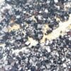 Grenat Mélanite, San Benito, Californie, USA. – Image 3