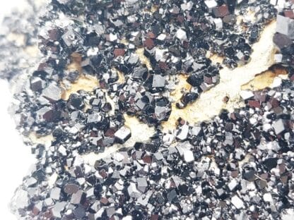 Grenat Mélanite, San Benito, Californie, USA. – Image 3