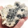 Albite et quartz fumé, Mont de Lacaune, Tarn.