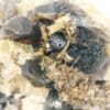 Albite et quartz fumé, Mont de Lacaune, Tarn.