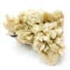 Calcite " poker chips" sur Calcite, Galène, Quartz, Madan, Bulgarie.