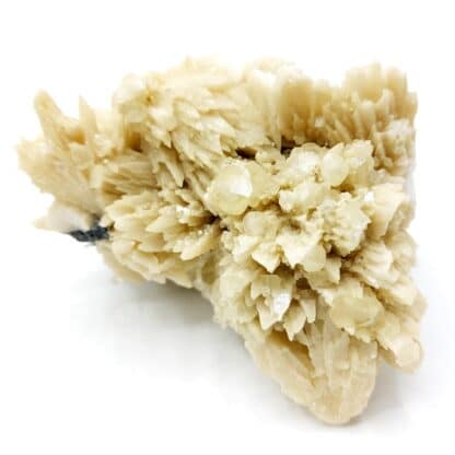 Calcite " poker chips" sur Calcite, Galène, Quartz, Madan, Bulgarie.