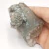 Quartz sur Diorite, Carrière de Bierghes, Belgique.