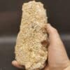 Calcite, Carrière de Ferques, Pas-de-Calais.