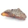 Ambre, Le Quesnoy, Oise, Picardie.
