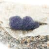 Fluorite violette, Buxières-les-Mines, Allier, Auvergne.