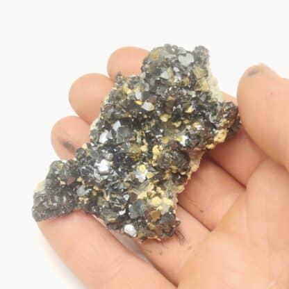 Sphalérite (Blende), Madan, Bulgarie.