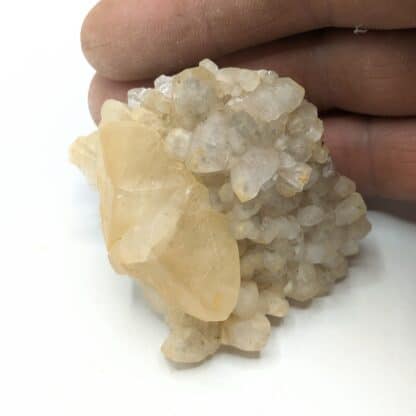 Calcite (macle), Pont à Nôle, Mont-sur-Marchienne, Belgique.