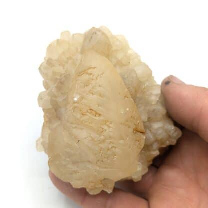 Calcite, Mont-sur-Marchienne, Belgique.