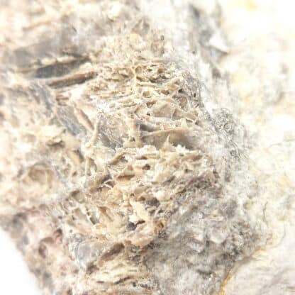 Gorceixite, carrière de Montebras, Creuse, Limousin.