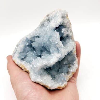 Célestite, (célestine), Majunga, Madagascar.