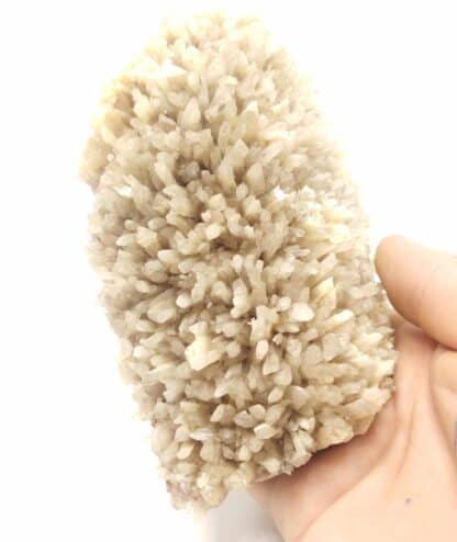 Baryte (Barytine), Cénomes, Aveyron.