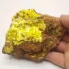 Autunite, Peny, Augères-en-Razès, Haute-Vienne, Limousin.