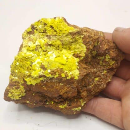 Autunite, Peny, Augères-en-Razès, Haute-Vienne, Limousin.