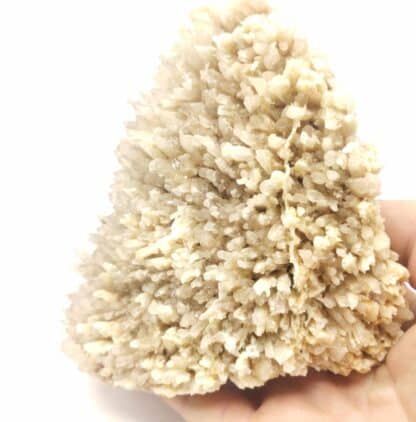 Baryte (Barytine), Cénomes, Aveyron.